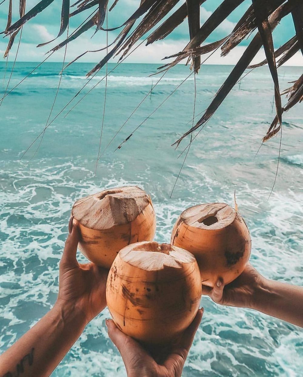 Hands toasting king coconuts above turquoise Sri Lankan surf