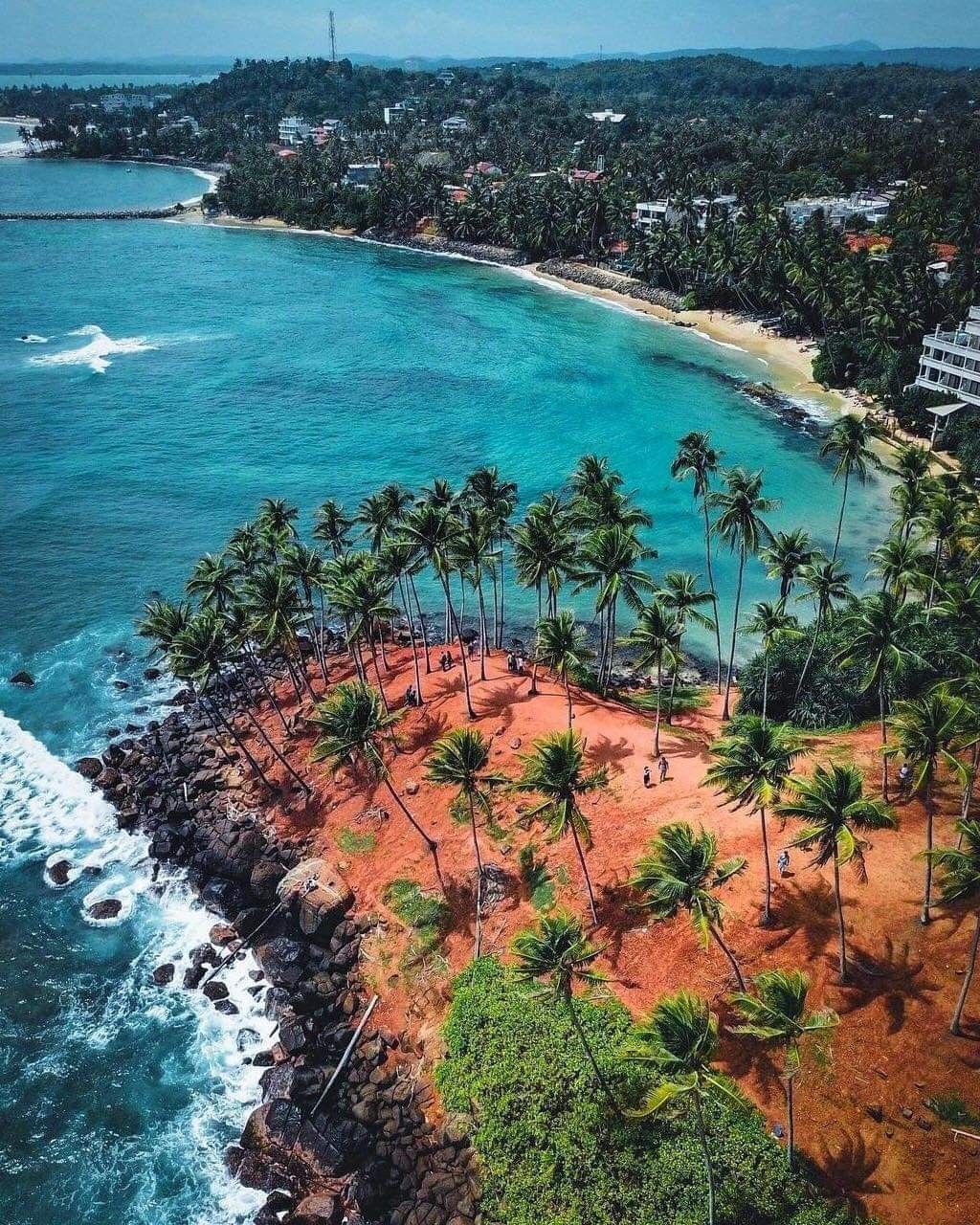 Coconut Tree Hill