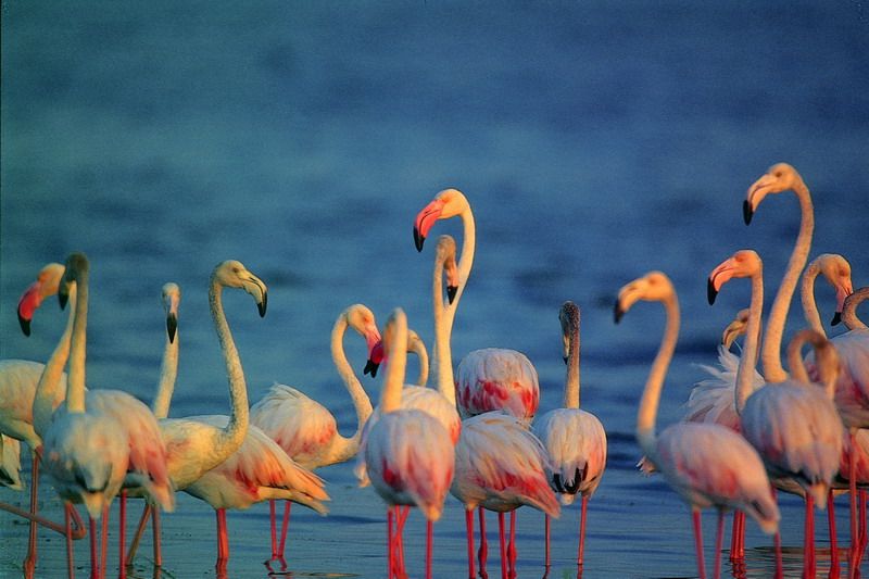 Yala Safari Day Tour photo 2
