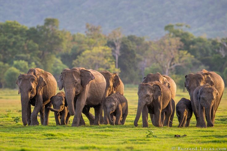 Wild Coast & Safari Escape